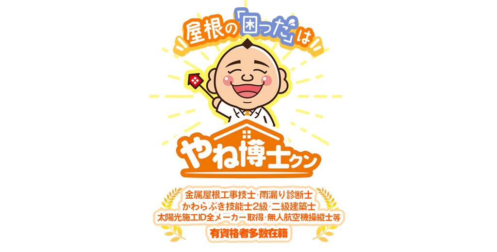 屋根の困ったはやね博士クン